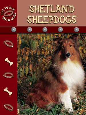 cover image of Shetland Sheepdogs